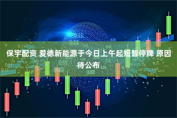保宇配资 爱德新能源于今日上午起短暂停牌 原因待公布